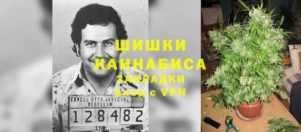 каннабис Новозыбков