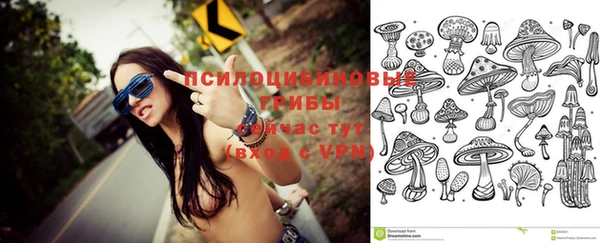 каннабис Новозыбков